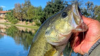 Fall Fishing at Atascadero Lake [upl. by Ketchum693]