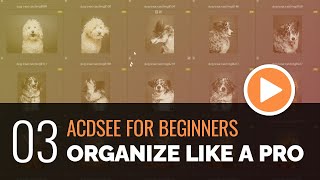 ACDSee for Beginners  03  Organize Like a Pro with Manage Mode [upl. by Alcock443]