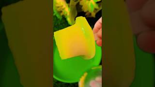 NATA DE COCO mango 🥭 🥭flavour ice cream 🍨 🍦youtubeshort viralvideo [upl. by Floss]