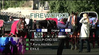 Fireworks  EXILE Karaoke Version [upl. by Skill436]