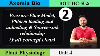 PressureFlow Model Phloem loading and unloading Sourcesink relationship 5thAssameseAxomia Bio [upl. by Einatsed584]