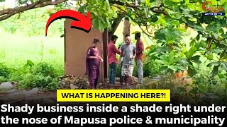 What is happening here Shady business inside a shade right under the nose of Mapusa police [upl. by Notgnilliw]