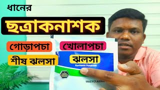 কোন রোগের জন্য কোন ছত্রাকনাশক ব্যাবহার করবেন   ছত্রাকনাশক কত প্রকারের ও কি কি জানুন। [upl. by Luthanen]