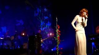 HD Florence  the Machine  Strangeness and Charm The Wiltern 11610 [upl. by Soalokin]