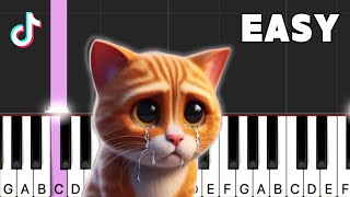 Miaw Miaw Miaw TikTok Sad Song  Piano Tutorial EASY [upl. by Teddi]