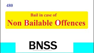 Clause 480 BNSS Bail in Non Bailable Offence [upl. by Atnahc]