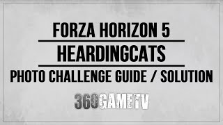 Forza Horizon 5 Heardingcats Photo Challenge Guide  Solution Ruedas Lion Mural Location [upl. by Ameg]