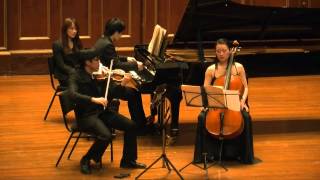 Tchaikovsky Piano Trio in A minor Op 50 [upl. by Ardnaeel]