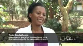 IPBES interview with Dr Cyrie Sendashonga [upl. by Yssor14]