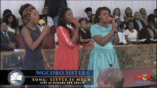 Ngcobo Sisters  Little Is Much [upl. by Ynohtn732]