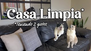 Así mantengo mi CASA LIMPIA con gatos Consejos y Trucos  Día de SOL [upl. by Sherer162]