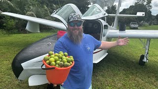 You wont believe how I got these KEY LIMES  Shrimp Ceviche and Key Lime Pie Recipe [upl. by Clercq186]