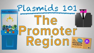 The Promoter Region  Plasmids 101 [upl. by Mehetabel]