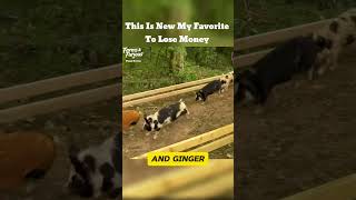 This is My New Favorite Way To Lose Money 🐷 piggies micropig farms farmlife racing [upl. by Aggappera]