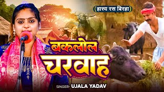 Ujala Yadav का हास्य रस बिरहा  बकलोल चरवाह  Bhojpuri Birha [upl. by Airdnaed]