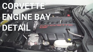 How I Detail My Corvette Engine Bay [upl. by Adnarahs154]