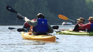 Columbia River Wildlife Kayak Tour  Ridgefield Kayak Rentals [upl. by Whatley414]