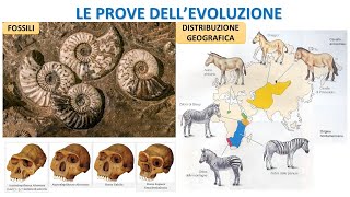 LE PROVE DELLEVOLUZIONE BIOLOGICA [upl. by Oicinoid419]