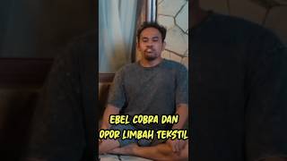 EBEL COBRA MAKAN OPOR LIMBAH ebelcobra tretanuniverse tretanmuslim ebelcobra ebel [upl. by Mello697]