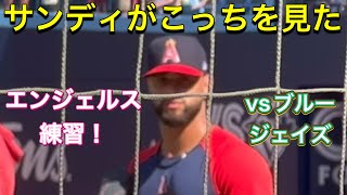 【サンディがこっちを見た！】エンジェルス練習！【2番DH・大谷翔平選手】対トロント・ブルージェイズ第3戦ロジャース・センター 7302023 大谷翔平 ohtani エンジェルス [upl. by Aikemet]