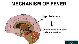 FEVER  PART 1   Causes and Mechanism [upl. by Hippel]