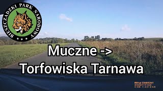 Bieszczady Muczne  Torfowiska Tarnawa [upl. by Aicilat584]