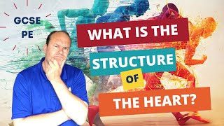 GCSE PE What is the Structure of the Heart [upl. by Karlyn]