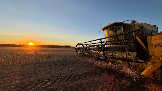 Getting After Soybean Harvest [upl. by Avika]