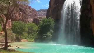 Havasu Falls Adventure [upl. by Yenot]