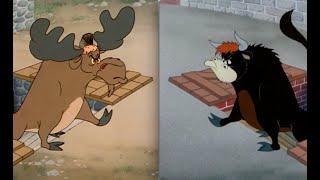 Which Is Better 28  Homesteader Droopy vs Senor Droopy [upl. by Il171]