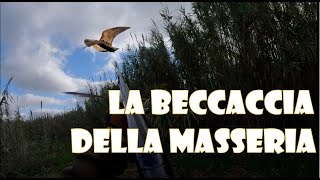 🇮🇹CACCIA 💎BECCACCIANDO💎 🎥La Beccaccia della Masseria📀📀 [upl. by Assirrec]