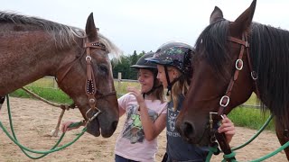 Little girl riding a Lusitano stallion at Golegã [upl. by Nessie]