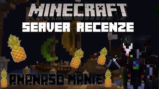 Minecraft  Ananaso Manie  Nejpropracovanější server [upl. by Ellicec]