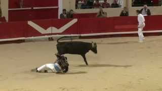 Course landaise  Alès Feria de lAscension 2012 [upl. by Rekyr]