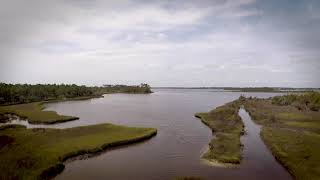 CROATAN National Forest [upl. by Aid171]