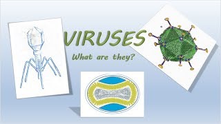 Viruses What are they [upl. by Akere]