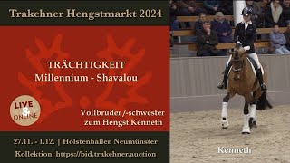 Trächtigkeit v Millennium  Shavalou [upl. by Ellehsal343]