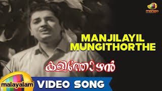 Kalithozhan Movie Songs  Manjilayil Mungithorthe Song  Prem Nazir Sheela [upl. by Mathian]