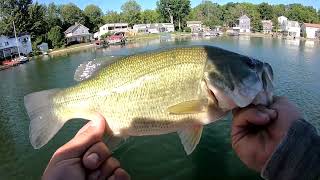 Mid Summer Bass Fishing In New York On Conesus Lake [upl. by Naeruat]