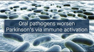 Oral pathogens worsen Parkinson’s disease by activating an immune response [upl. by Wernsman]