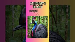 Deadliest Bird Cassowary explore funny facts shorts [upl. by Bertie]