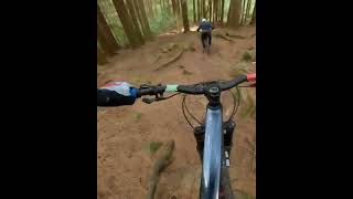 Tollymore Train MTB [upl. by Warthman]