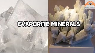 Lecture 8 Evaporite Minerals Gypsum Anhydrite Halite Sylvite geology minerals [upl. by Ahsemad]