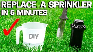 Replace SPRINKLER HEAD in 5 Minutes  Rainbird  Hunter  Orbit [upl. by Trimmer]