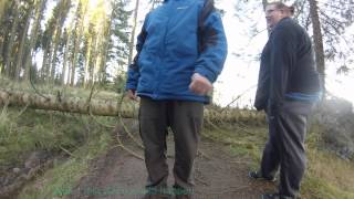 Calvert Trust Kielder  Buggy ride Lakeside Way shut by trees [upl. by Eceela844]