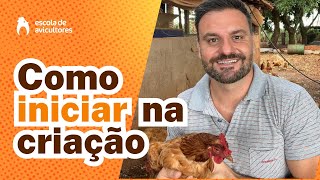 Como iniciar uma criação de galinhas poedeiras para produção de ovos caipiras [upl. by Antonius]