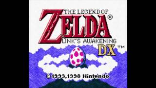 Ballad of the Windfish The Legend of Zelda Links Awakening Acoustic Loop [upl. by Conard]