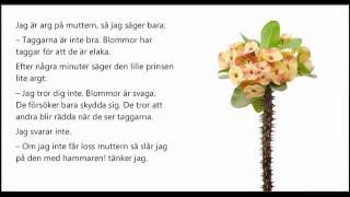 Ljudbok Den lille prinsen kapitel 7 Prinsens blomma [upl. by Lamahj]