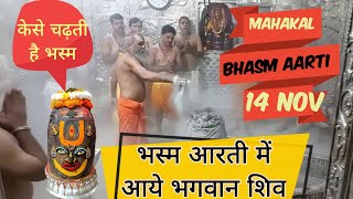 Ujjain ke mahakal aarti live today bhasma aarti mahakaleshwar ujjain 14 Nov  mahakal live darshan [upl. by Pachton]