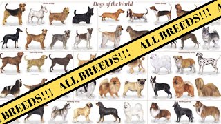 All Breeds of Dogs around the World  Breed of Dogs AZ [upl. by Puritan]